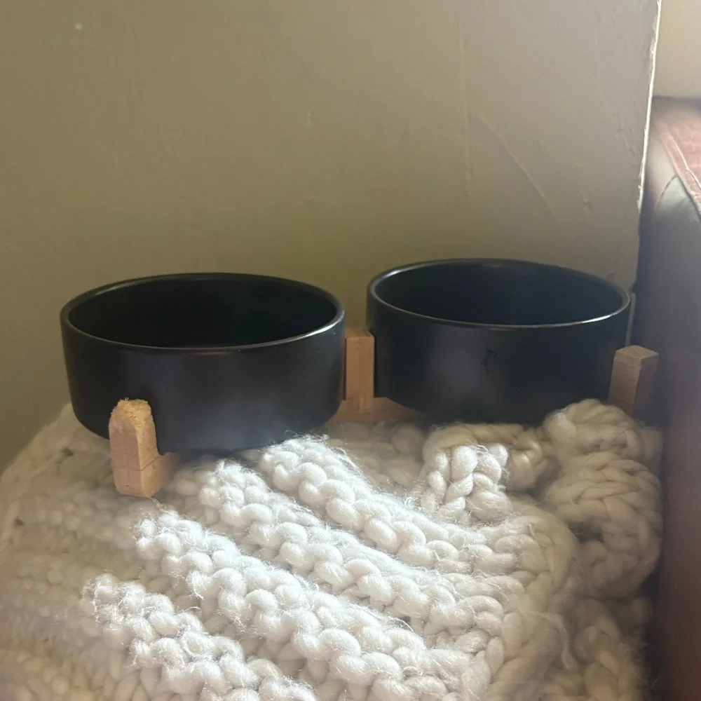 Dog Eating bowl set
